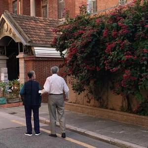 叶山小百合被邻居欺负是哪几集
