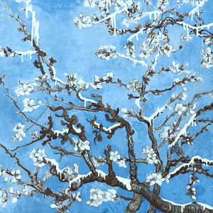 叶山小百合被邻居欺负是哪几集
